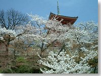 [Kiyomizu Temple]